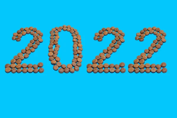 Καλή χρονιά για κατοικίδια. Ημερομηνία 2022 καταρτίζονται ξηρή τροφή για σκύλους ή γάτες σε μπλε φόντο. Φροντίζοντας τα κατοικίδια ζώα. — Φωτογραφία Αρχείου