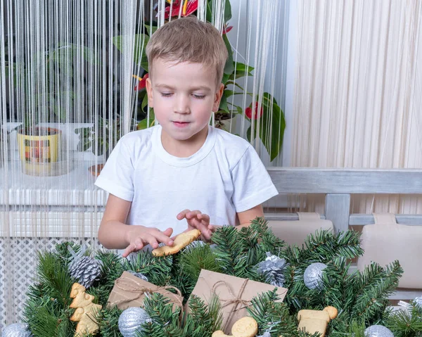 Cute kaukaski chłopiec stawia Mikołaje ciasteczka, prezenty i pierniki na gałązki świąteczne ozdobione kulkami. — Zdjęcie stockowe