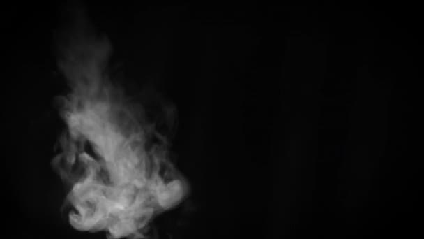 Фрагмент белого горячего кёрлинга, дым на черном фоне, крупный план, Full HD. Элемент дизайна. Пар от парогенератора на черном фоне — стоковое видео
