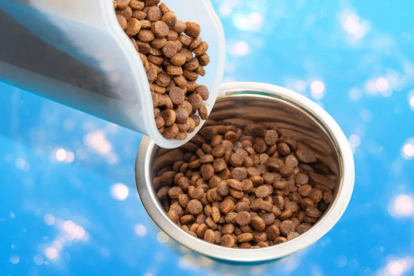 Bir el konteynırı tutar ve bokeh ile mavi arka planda yuvarlak metal bir kaseye kuru hayvan maması koyar..