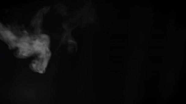 Fragmento de vapor rizado caliente blanco, humo sobre fondo negro, primer plano, Full HD. Elemento de diseño. — Vídeos de Stock