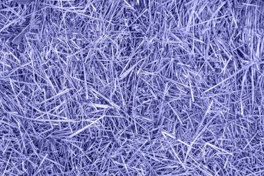 Saman dokusu 2022 Çok Peri ile renklendirilmiş. Doğal trend geçmişi 2022. Shavuot tatili, hasat, saman geçmişi