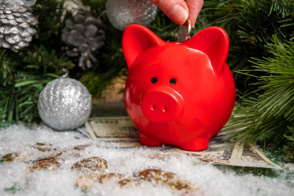 Hand legt eine Münze in ein rotes Sparschwein auf Goldmünzen und Papiergeld, das mit Schnee und weihnachtlich grünen Tannenzweigen bedeckt ist — Stockfoto