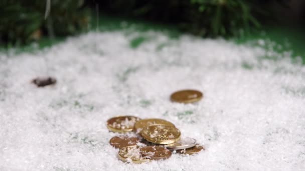 Monedas de oro cayendo junto con nieve artificial sobre el fondo de ramas de abeto verde — Vídeo de stock