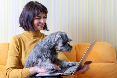 Beyaz iş kadını ve ev ofisinin bilgisayarında daktilo eden evcil köpeği. Evde dizüstü bilgisayarla çalışan orta yaşlı bir kadın. Merkez ofis konsepti. Evde kal konsepti.