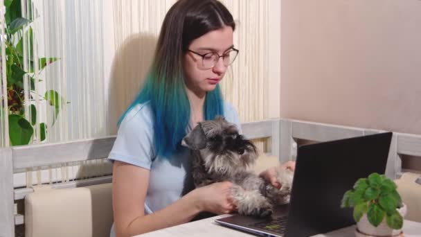 Egy diáklány és a kutyája egy laptopon gépelnek egy otthoni irodában. A kutya gépel a billentyűzeten. Z generáció — Stock videók