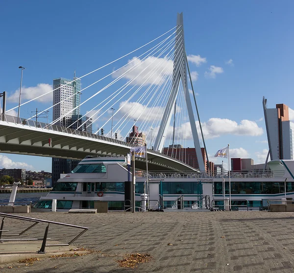 Puente Erasmus - el puente de cable a través del río Maas en el centro de Rotterdam —  Fotos de Stock