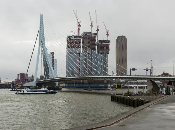 Most Erasmus proti kancelářské budovy ve výstavbě v rotterdam, Holandsko — Stock fotografie