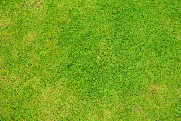 緑の芝生のテクスチャの背景 芝生の庭のトップビュー緑の床を作るために使用される理想的なコンセプト サッカーピッチを訓練するための芝生 草のゴルフコース緑の芝生のパターンテクスチャの背景 — ストック写真