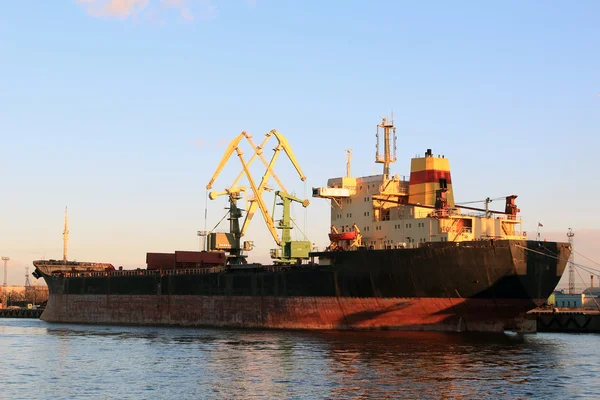 Cargo ship in port. — Stock Photo, Image
