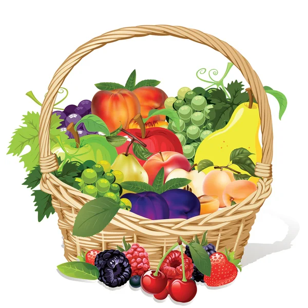 Fruit basket — Stock Vector