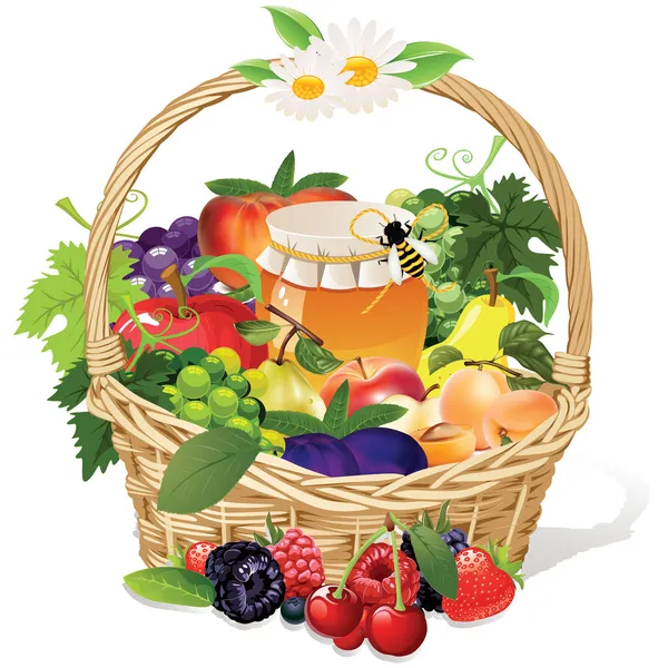 Fruit basket — Stock Vector