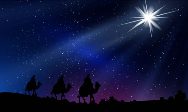 Weise Männer Weihnachten Auf Dem Hintergrund Des Nachtrosa Himmels Kunst — Stockvektor