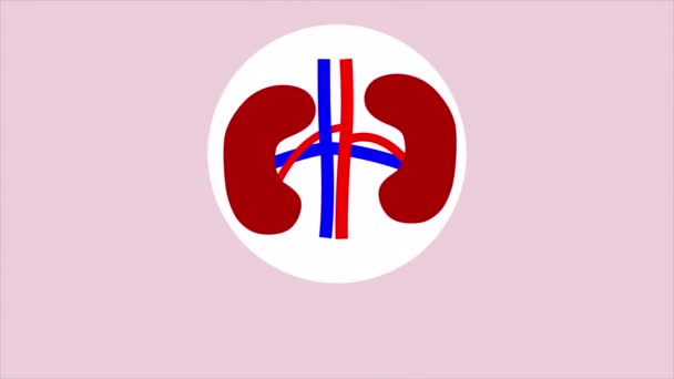 世界腎臓の日のインフォグラフィック アートビデオイラスト — ストック動画