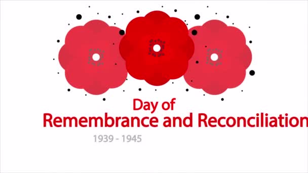 Days Remembrance Reconciliation Red Poppy Art Video Illustration — Stockvideo