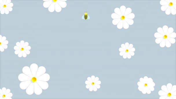 World Bee Day Daisies Art Video Illustration — Vídeo de Stock