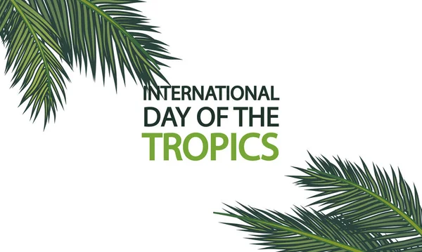 Międzynarodowy Dzień Tropików Palmy Gałęzie Sztandar Wektor Ilustracja Sztuki — Wektor stockowy