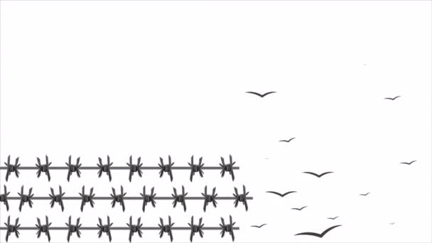 世界难民日铁丝网和鸟儿 艺术视频说明 — 图库视频影像
