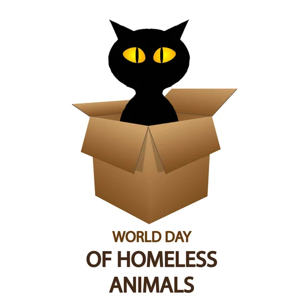 World day of homeless animals cat in a box, vector art illustration.