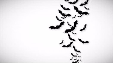 International bat night bats, art video illustration.