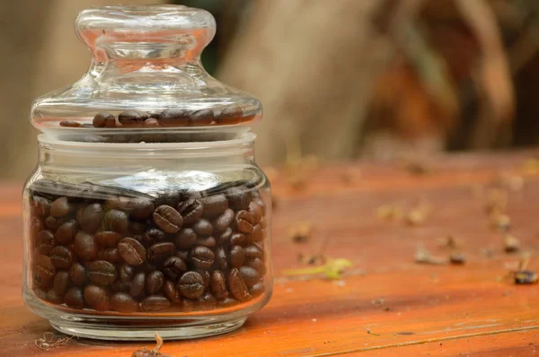 Granos de café en botella de vidrio — Foto de Stock