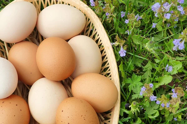 Brown Eggs Domestic Hens Basket Green Grass Texture Background Pile — Foto de Stock