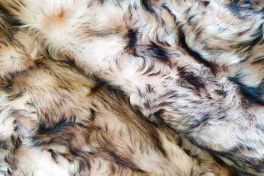 Kahverengi ve siyah yün arkaplan. Doğal kürkün üst görüntüsü. Kahverengi ve siyah kürk manto dokusu. Yakın çekim..