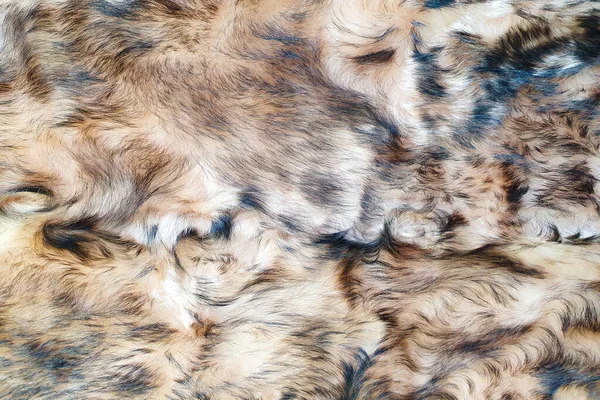 褐色和黑色羊毛纹理背景 假毛皮 褐色和黑色蓬松毛皮的纹理 靠近一条长长的羊毛地毯 自然毛皮的顶部视图 — 图库照片