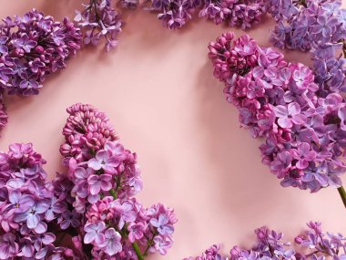 Pembe arka planda eflatun çiçekleri ve metin veya güzellik ürünleri için kopya alanı. Üst görünüm, düz görünüm, çerçeve veya sınırlar çiçek, ilkbahar