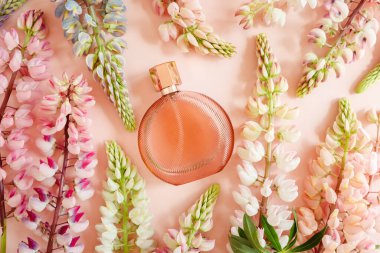 Pembe arka planda markasız kahverengi parfüm şişesi ve pembe lupin çiçekleri. Damgalamak ve etiketlemek için saydam cam parfüm şişesi. Eau de Tuvalet. Mockup, yaylı bemol.