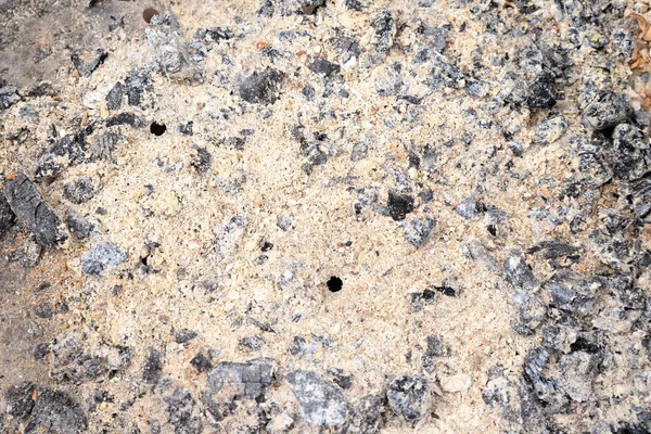 Cinzas Madeira Carvão Fundo Textura Quadro Completo Fertilizante Natural Controle — Fotografia de Stock