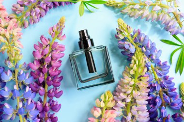 Siyah parfüm spreyi şişesi ve mavi arka planda çok renkli lupin çiçekleri. Damgalamak için boş etiket şişesi. Eau de Tuvalet. Model, düz yatış, üst ön görünüm