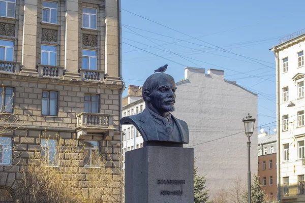 2022年7月8日 俄罗斯圣彼得堡 鸽子坐落于弗拉基米尔 伊里奇 列宁的半身像或纪念碑上 — 图库照片