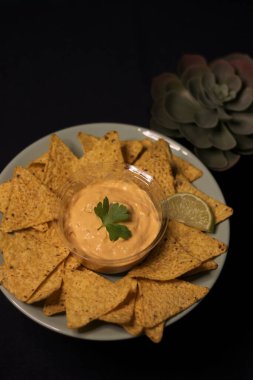 Meksika yemeği - taco bulanık çedar peyniri sosu 