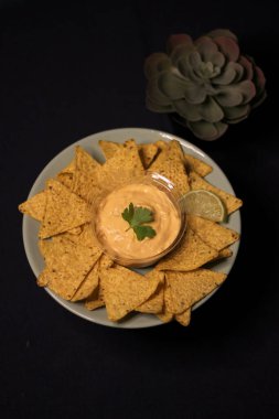 Meksika yemeği - taco bulanık çedar peyniri sosu 