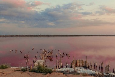 Pembe göldeki tuzlu sütunlar. Gün batımı, yaz gününde pembe bir gölde gün doğumu.. 