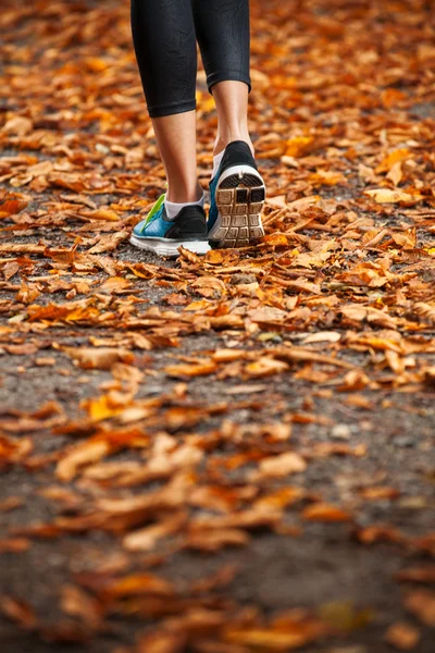 Mujer joven corriendo en la tarde temprano hojas de otoño — Foto de Stock