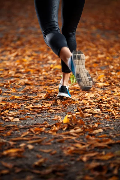 Jonge vrouw uitgevoerd in de vroege avond herfst bladeren — Stockfoto