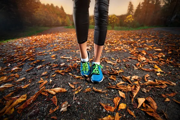 Mujer joven corriendo en la tarde temprano hojas de otoño Imagen de stock