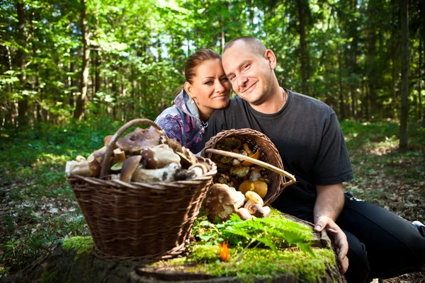 Paar plukken van paddestoelen in het bos — Stockfoto