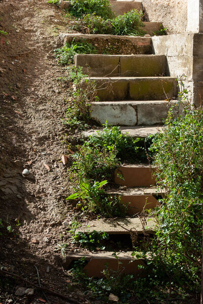 Stairs in nature where grass and soil have grown on the steps