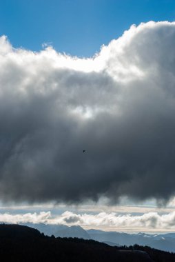 Kuş gri bulutlarla gökyüzünde uçuyor.