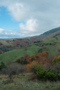 Yeşil, kırmızı, turuncu ve sarı renkli ormanlarla kaplı dağ manzarası manzaraya zıt düşüyor. Mavi ve gri gökyüzü ile doğanın güzel manzarası.