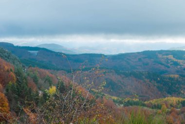 Yeşil, kırmızı, turuncu ve sarı renkli ormanlarla kaplı dağ manzarası manzaraya zıt düşüyor. Mavi ve gri gökyüzü ile doğanın güzel manzarası.
