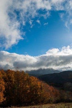 Yeşil, kırmızı, turuncu ve sarı renkli ormanlarla kaplı dağ manzarası manzaraya zıt düşüyor. Mavi ve gri gökyüzü ile doğanın güzel manzarası.