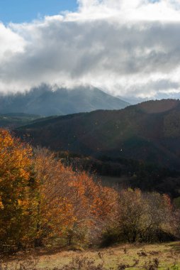 Yeşil, kırmızı, turuncu ve sarı renkli ormanlarla kaplı dağ manzarası manzaraya zıt düşüyor. Mavi ve gri gökyüzü ile doğanın güzel manzarası.