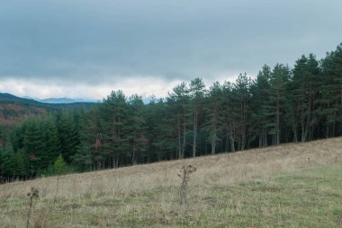 Yeşil, kırmızı, turuncu ve sarı renkli ormanlarla kaplı dağ manzarası manzaraya zıt düşüyor. Mavi ve gri gökyüzü ile doğanın güzel manzarası.