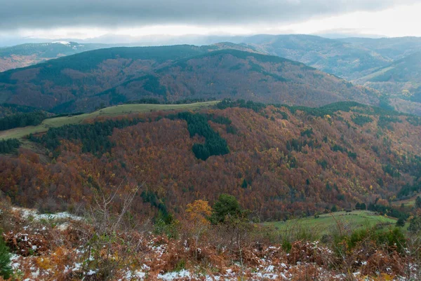 Paisaje Montaña Con Bosques Colores Verde Rojo Naranja Amarillo Que — Foto de Stock