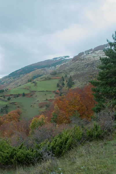 Paisaje Montaña Con Bosques Colores Verde Rojo Naranja Amarillo Que — Foto de Stock