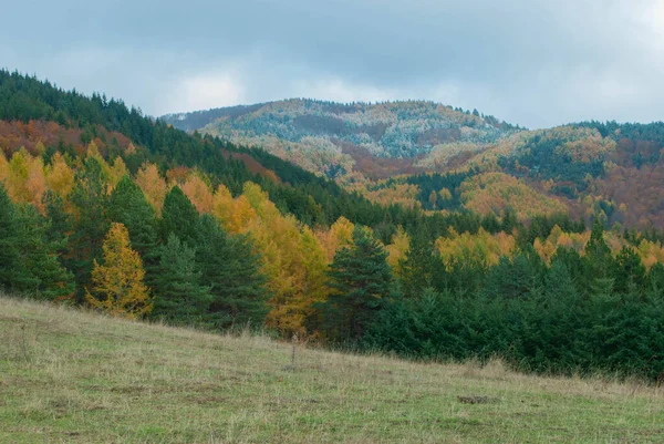 Yeşil, kırmızı, turuncu ve sarı renkli ormanlarla kaplı dağ manzarası manzaraya zıt düşüyor. Mavi ve gri gökyüzü ile doğanın güzel manzarası.
